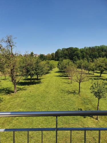 Blick ins Grüne