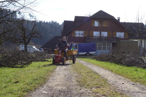 nach dem Obstbaumschnitt